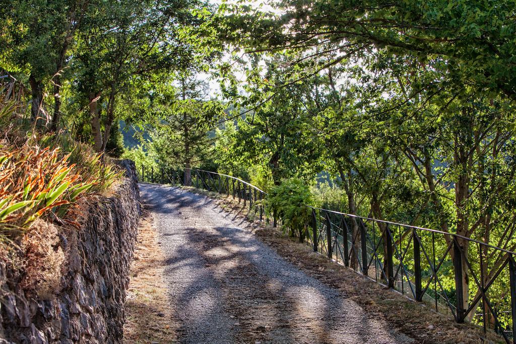 Residence Menotre Rasiglia Dış mekan fotoğraf